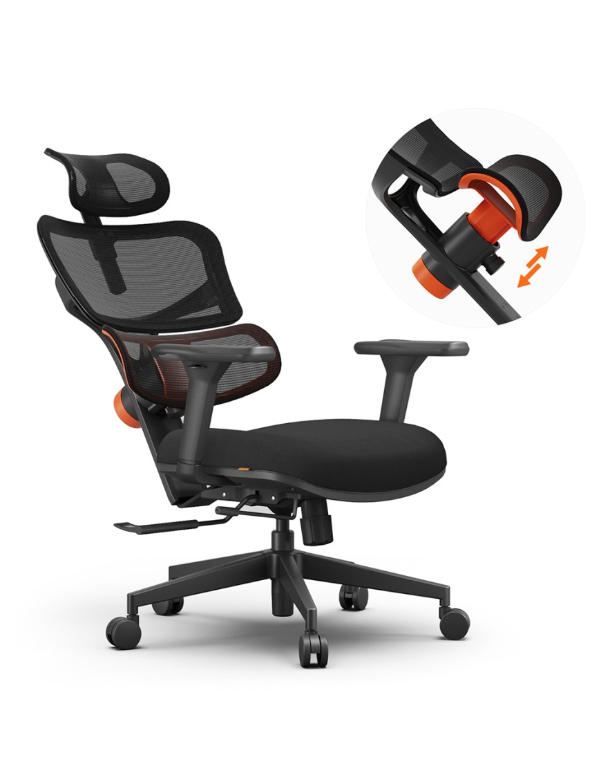 NEWTRAL Chair Standard NT001 Adaptive Lower Back Support Ergonomic Chair  Adjustable Armrest Headrest  Nylon Base