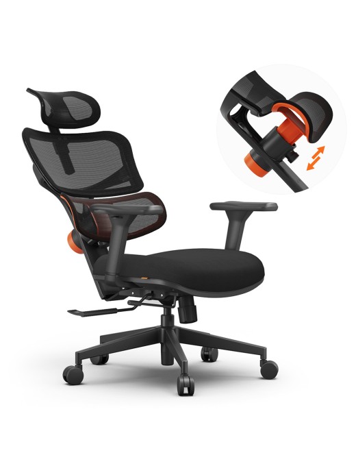 NEWTRAL Chair Standard NT001 Adaptive Lower Back Support Ergonomic Chair  Adjustable Armrest Headrest  Nylon Base