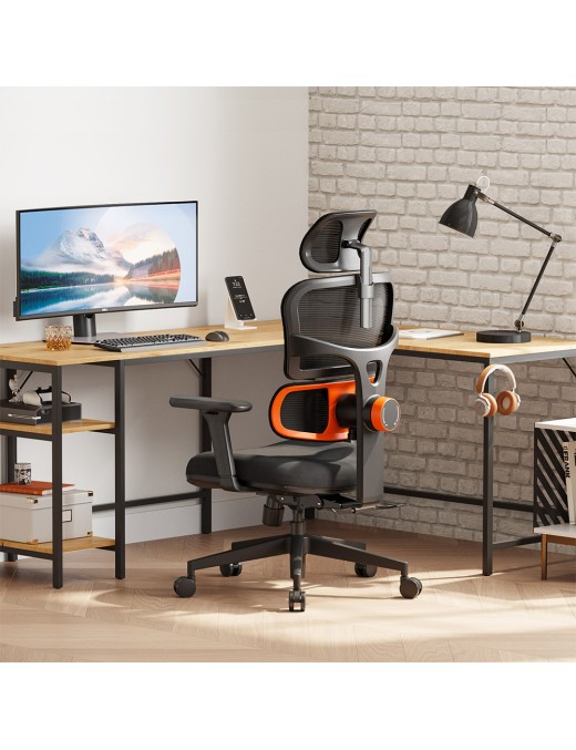 NEWTRAL Chair Standard NT001 Adaptive Lower Back Support Ergonomic Chair  Adjustable Armrest Headrest  Nylon Base