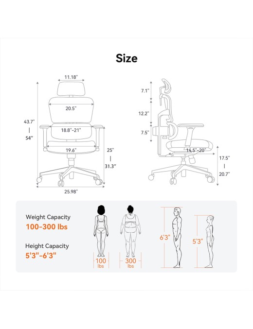 NEWTRAL Chair Standard NT001 Adaptive Lower Back Support Ergonomic Chair  Adjustable Armrest Headrest  Nylon Base